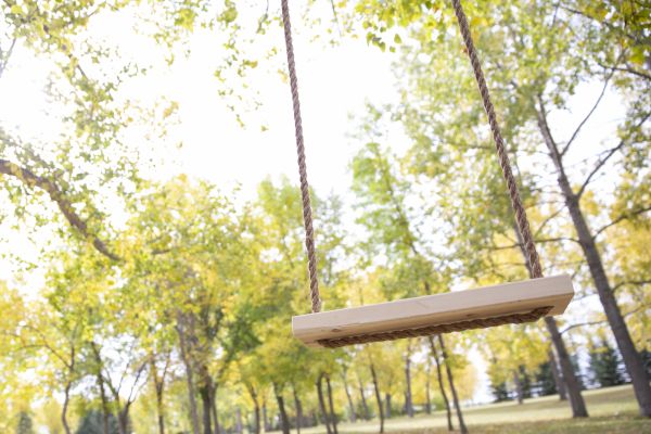 Cost of Swing Installation in Vacaville
