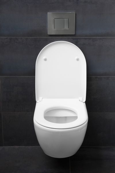 Cost of Toilet Lid Installation in Vacaville