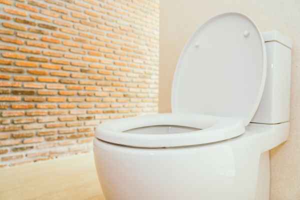 Cost of Toilet Seat Repair in Vacaville